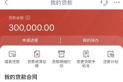 这5类借款平台审核宽松不看负债